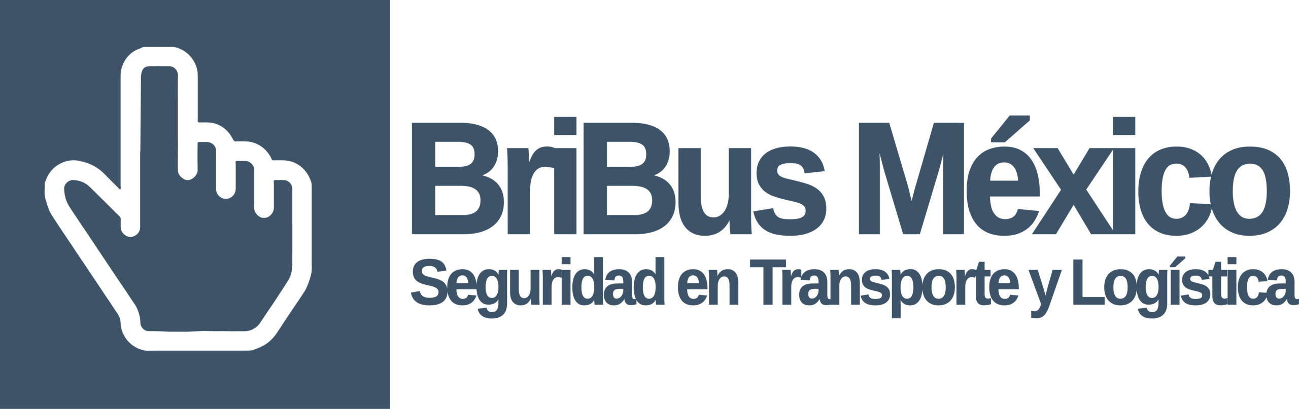 Bribus México